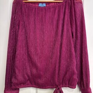 CeCe Fuchsia Blouse, NWOT, size M, gorgeous, holiday, party, festive, luxury!